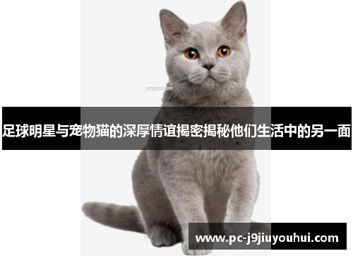 足球明星与宠物猫的深厚情谊揭密揭秘他们生活中的另一面