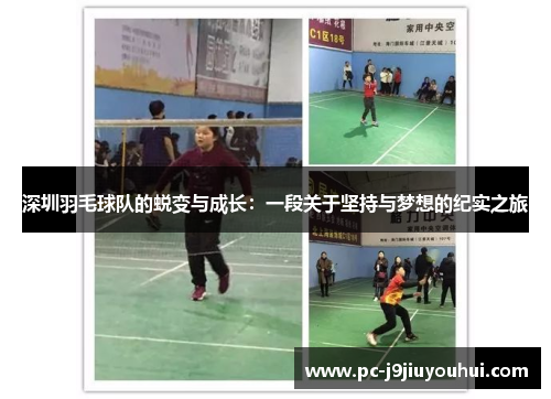 深圳羽毛球队的蜕变与成长：一段关于坚持与梦想的纪实之旅
